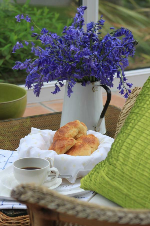 Ty Llwyd Bed & Breakfast Treffynnon Екстериор снимка